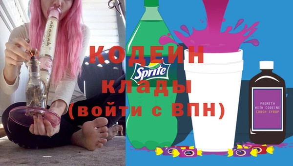 трава Белая Холуница