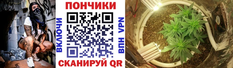 купить наркоту  Майский  маркетплейс формула  Каннабис планчик 